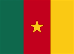 [ai] The flag of Cameroon featuring three vertical stripes: green on the left, red in the center with a yellow star, and yellow on the right.